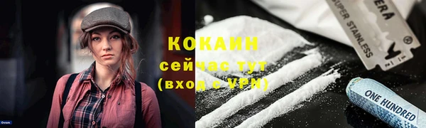 ешки Вязьма