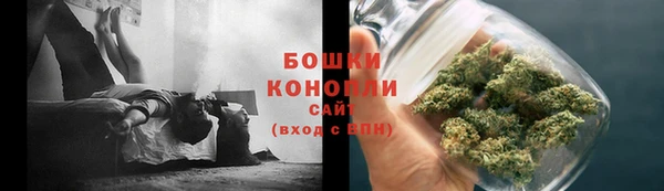 прущие крисы Вяземский