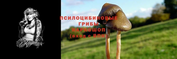 прущая мука Вязники
