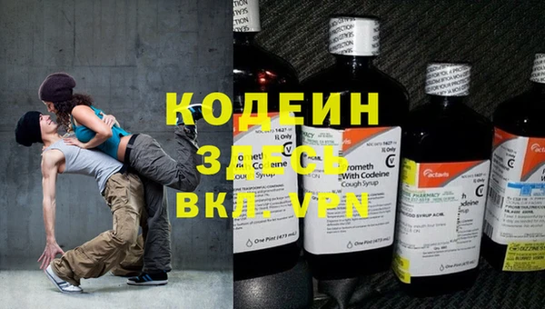 прущие крисы Вяземский