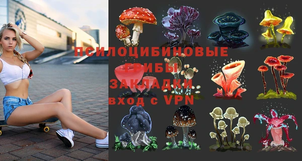 ешки Вязьма