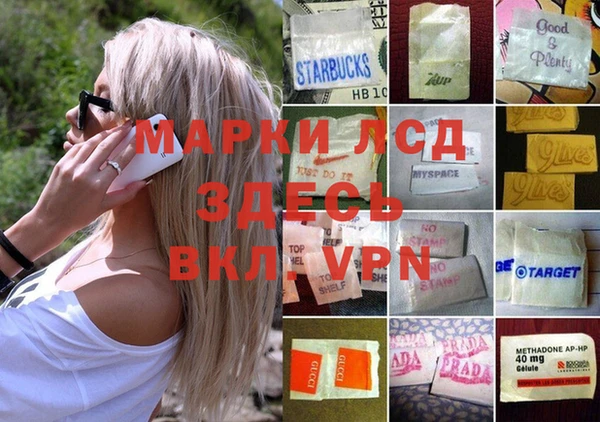 ешки Вязьма