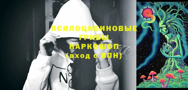 ешки Вязьма