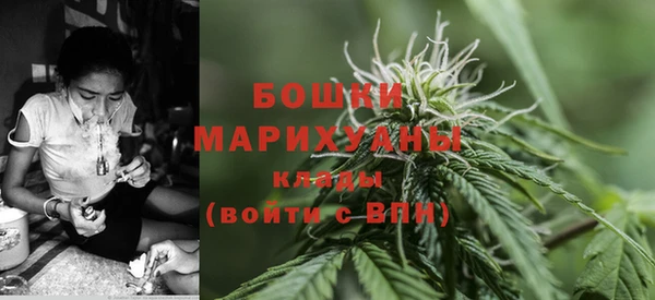 прущие крисы Вяземский