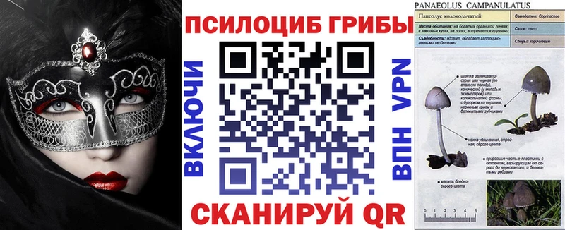 Галлюциногенные грибы мухоморы дарк нет наркотические препараты Дивногорск хочу наркоту