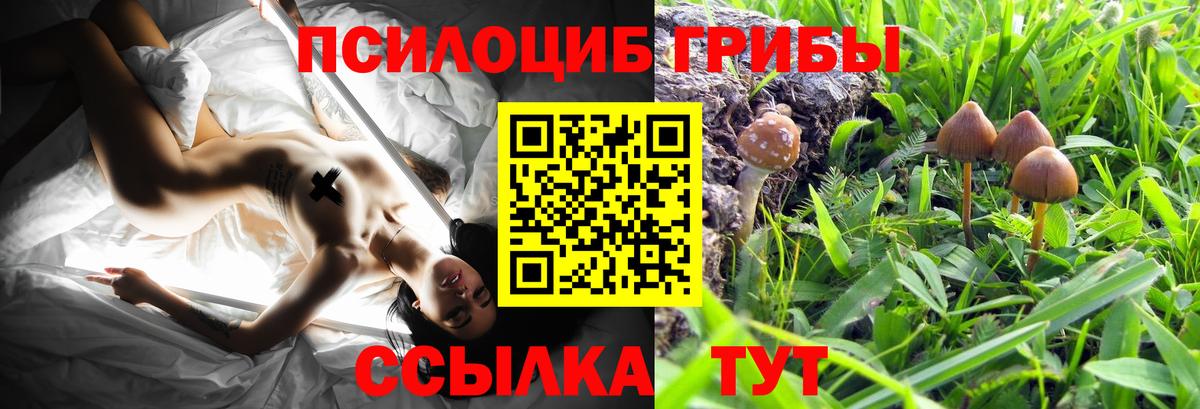 Дивногорск  Псилоцибиновые грибы MAGIC MUSHROOMS  Вход с VPN  Псилоцибиновые грибы мухоморы 